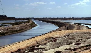 Bolca Chica - River Path